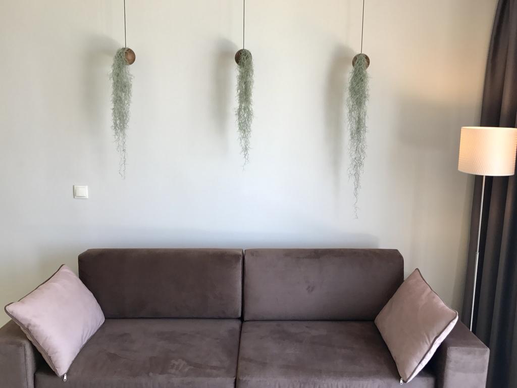 מסונגי Palms And Spas Villas Retreat מראה חיצוני תמונה